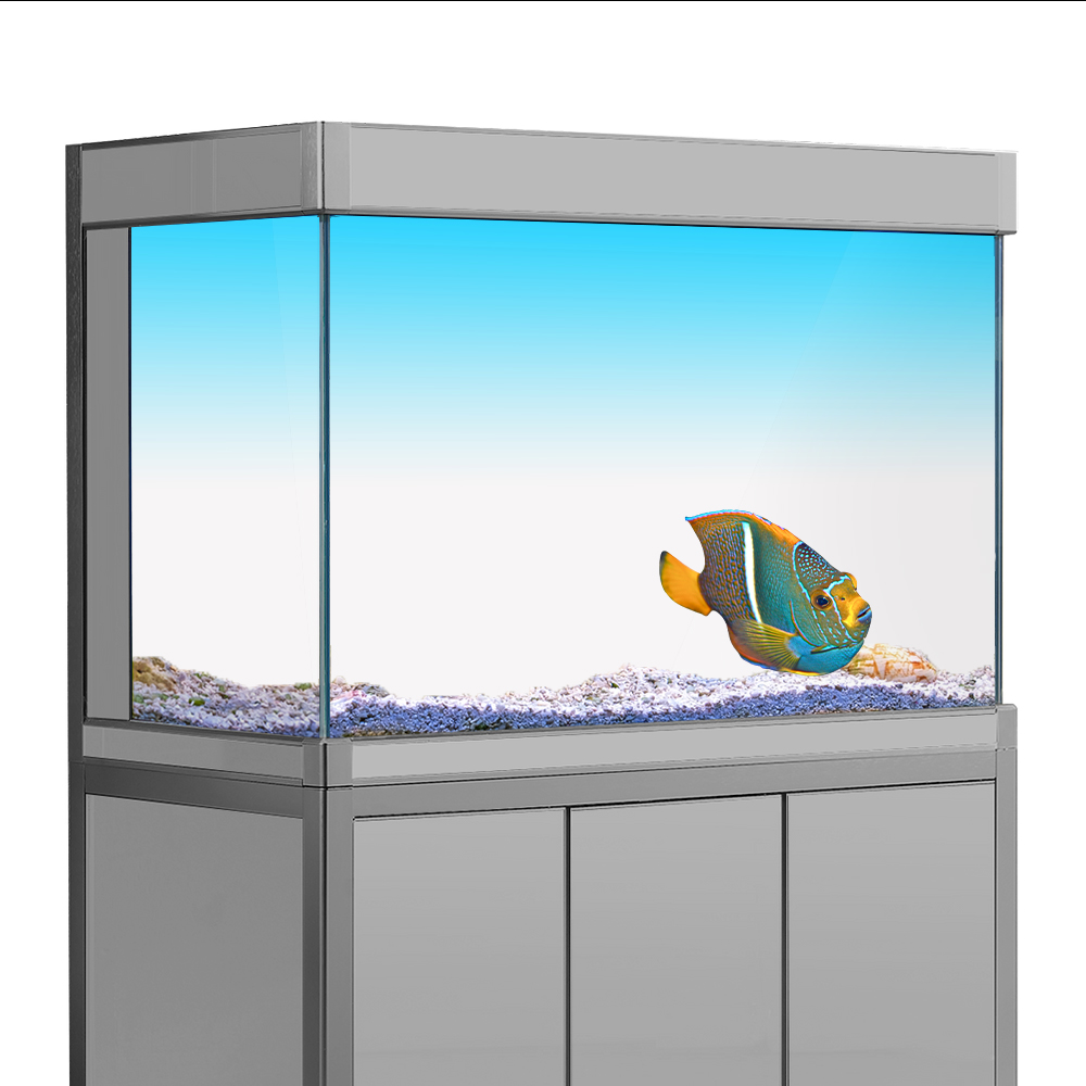 Aquarium Fish Yellow - Akwarium Tło Naklejka Biały Żółty Zielony