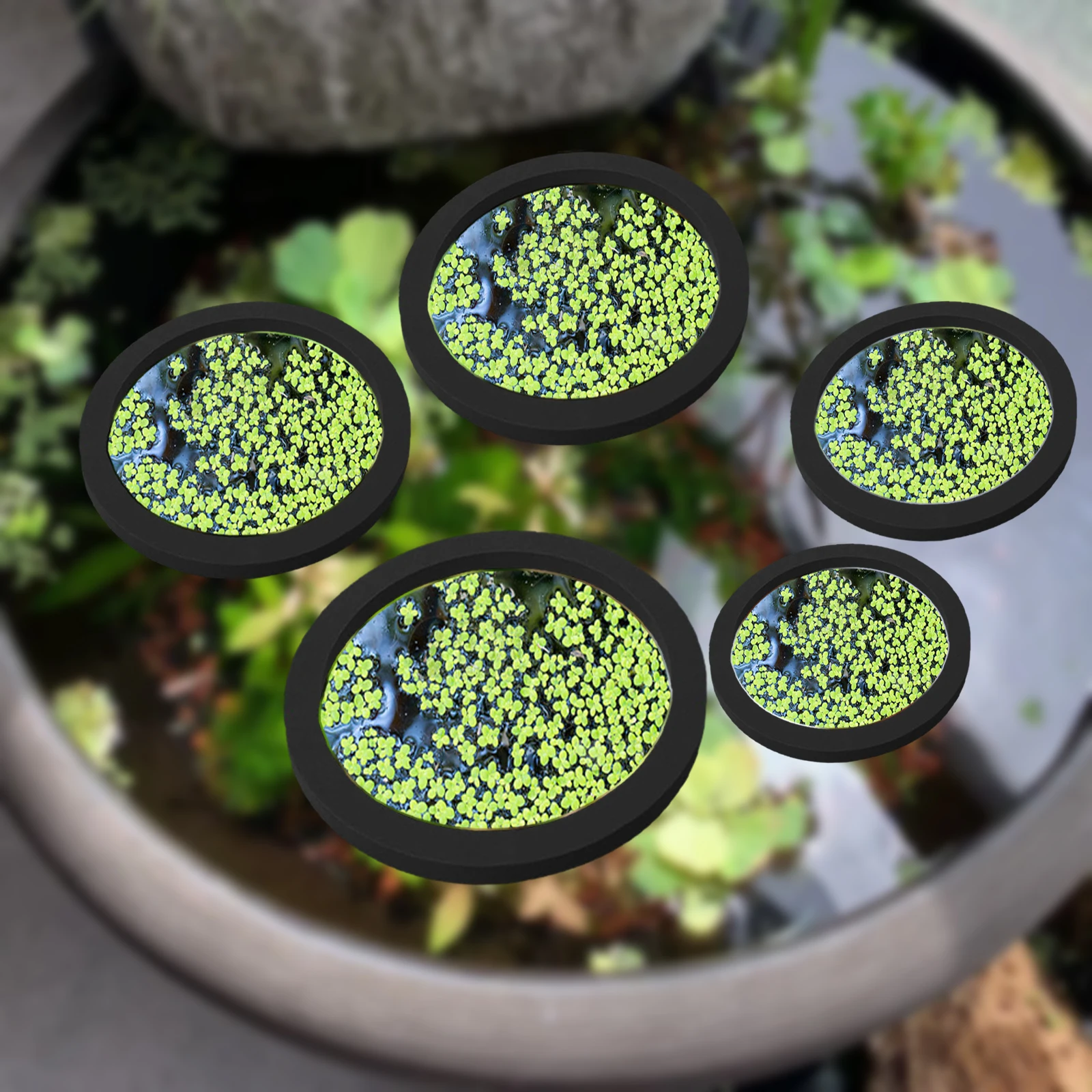Aquarium Fish Pond - 5Pcs EVA Pierścień do karmienia ryb