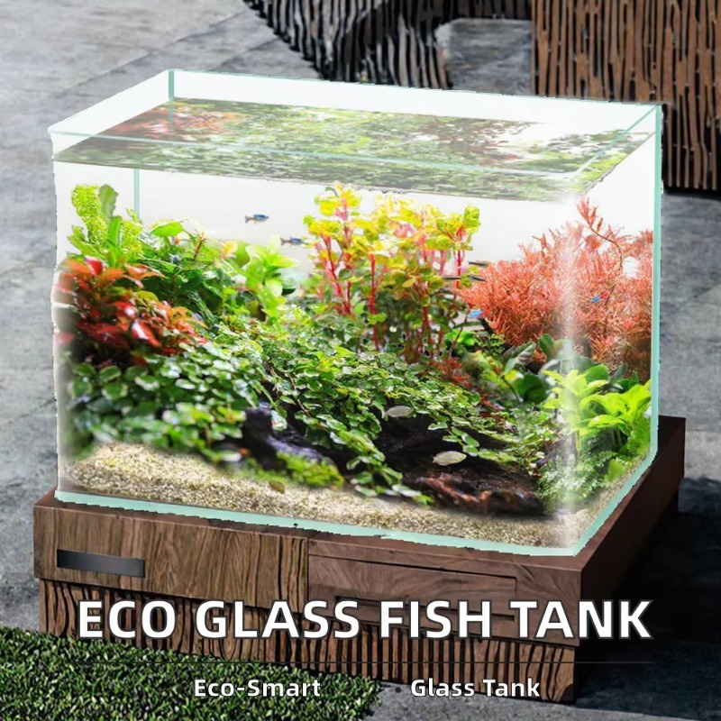 Akwarium biurkowe w pudełku, u – Aquarium Fish Saltwater recenzja i cena