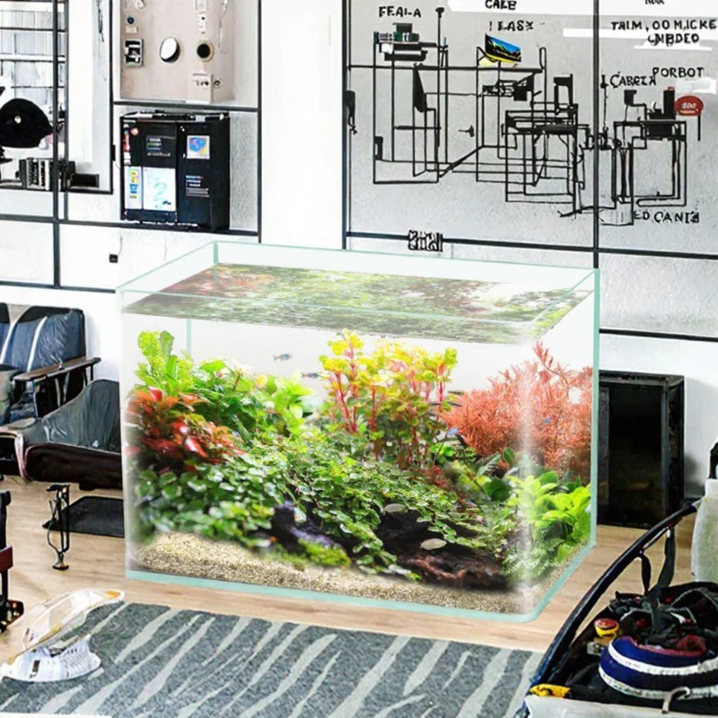 Akwarium biurkowe w pudełku, u – Aquarium Fish Saltwater recenzja i cena