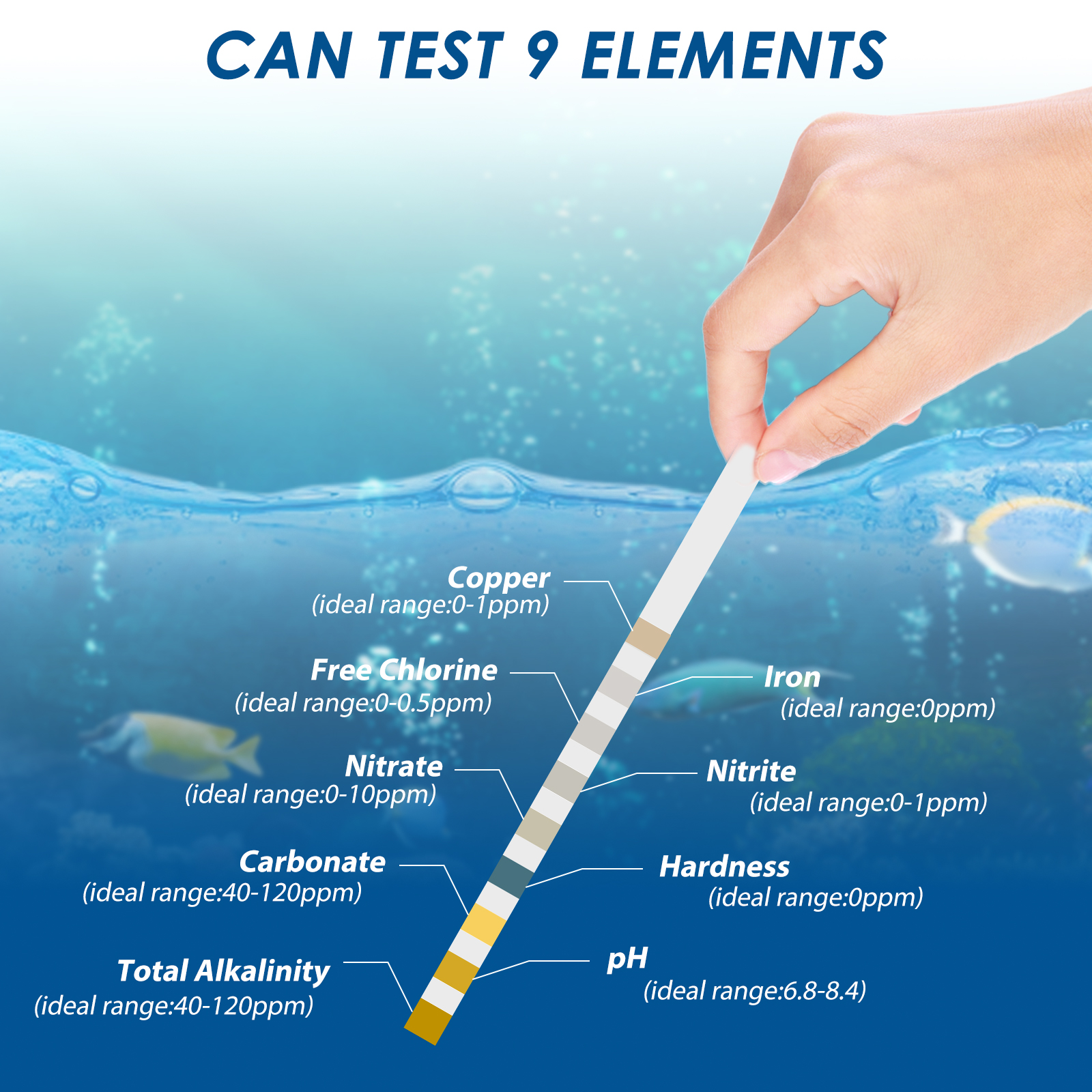 100 sztuk pasków testowych do  – Aquarium Fish Saltwater recenzja i cena