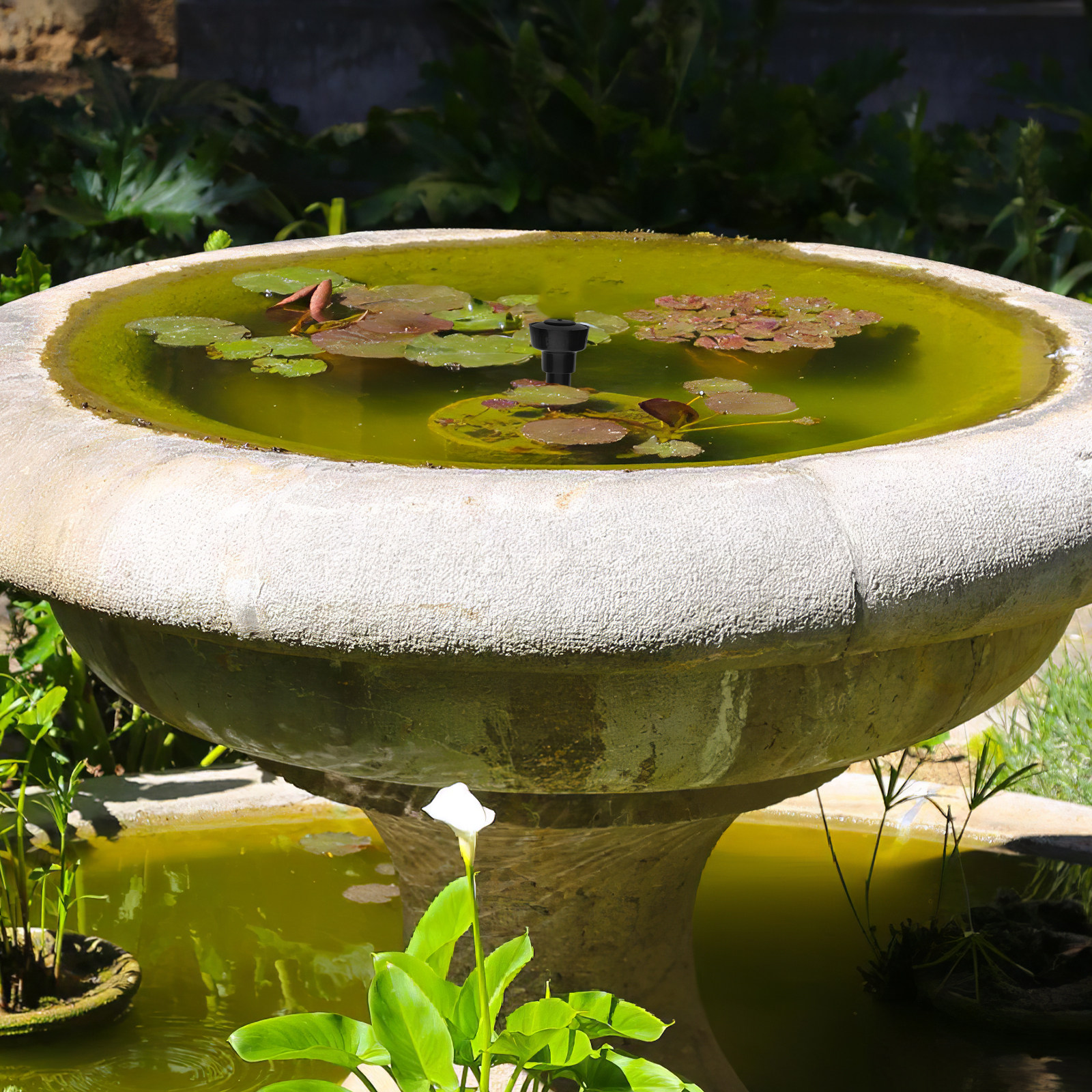 1 Zestaw Dyszy Fontannowej Pla – Aquarium Fish Pond recenzja i cena