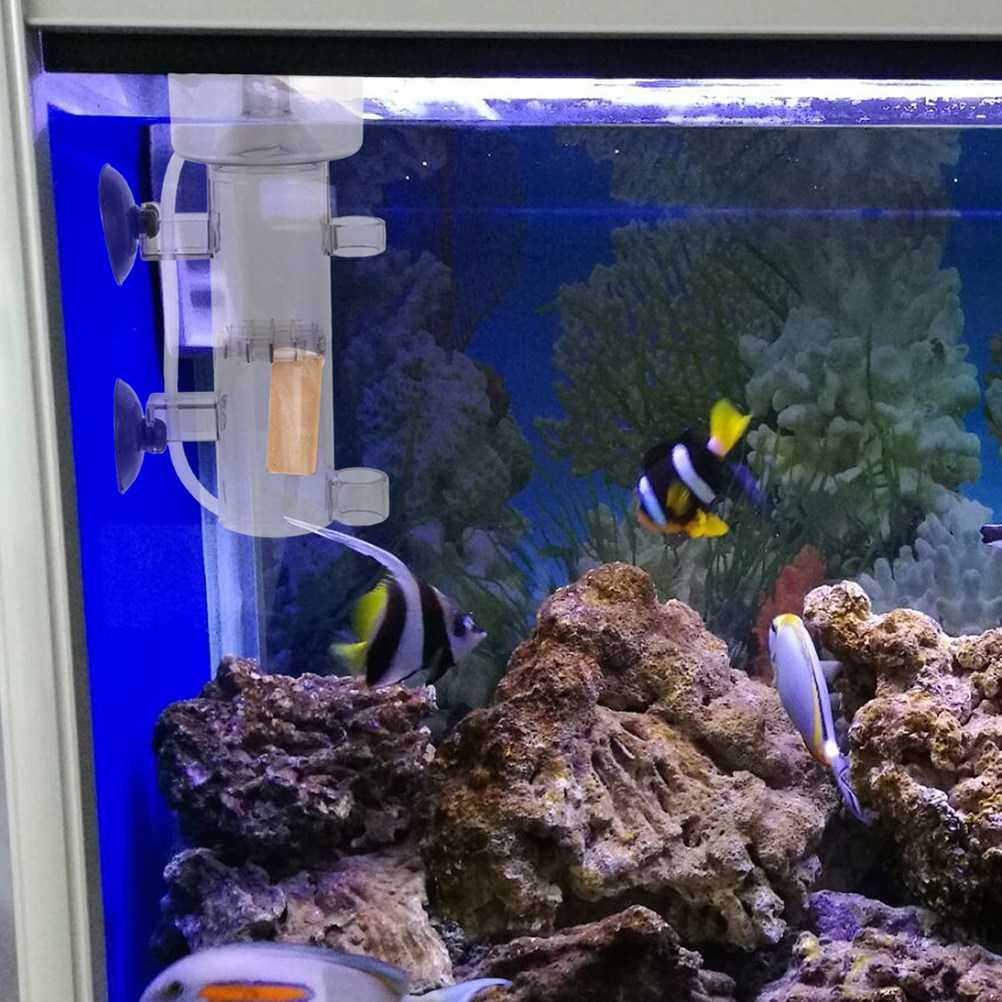 Separator proteinowy wewnętrzn – Aquarium Fish Saltwater recenzja i cena