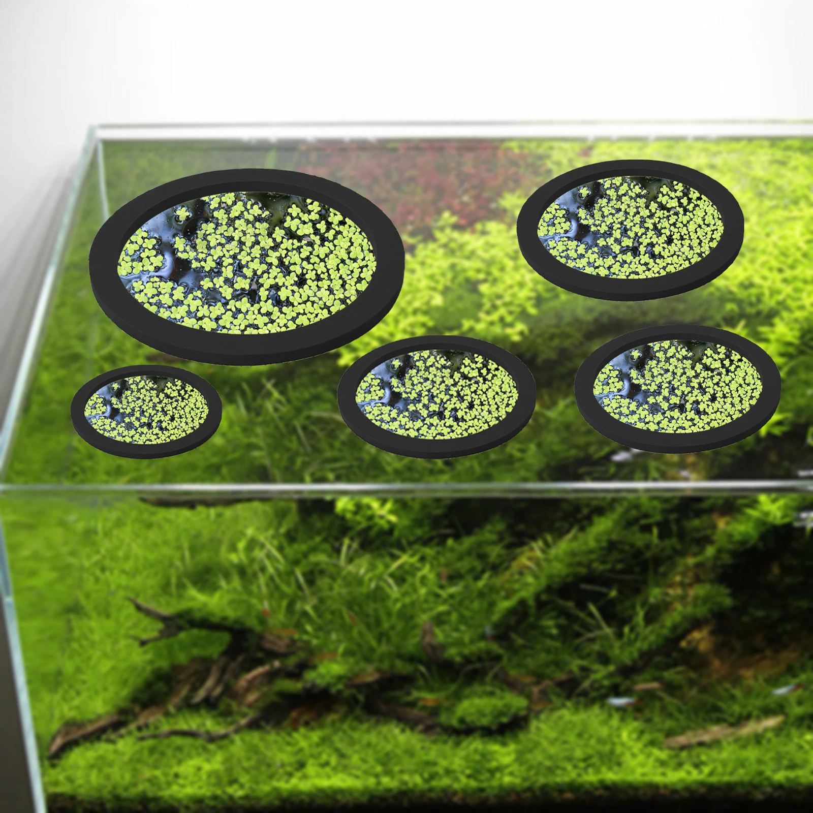 5Pcs EVA Pierścień do karmieni – Aquarium Fish Pond recenzja i cena