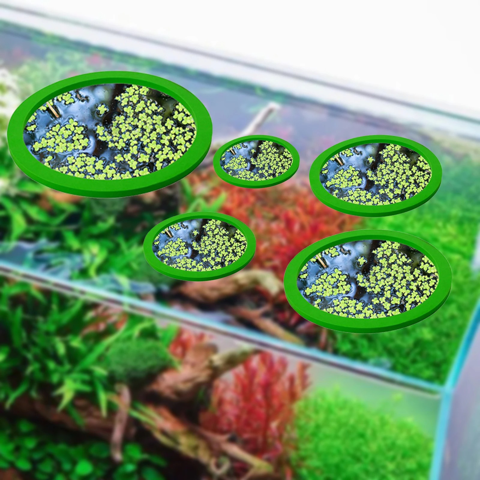 5Pcs EVA Pierścień do karmieni – Aquarium Fish Pond recenzja i cena