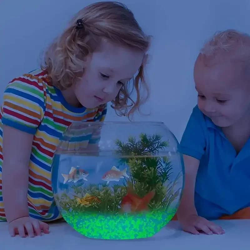 1000szt 3-5mm Świecący piasek  – Aquarium Fish Saltwater recenzja i cena