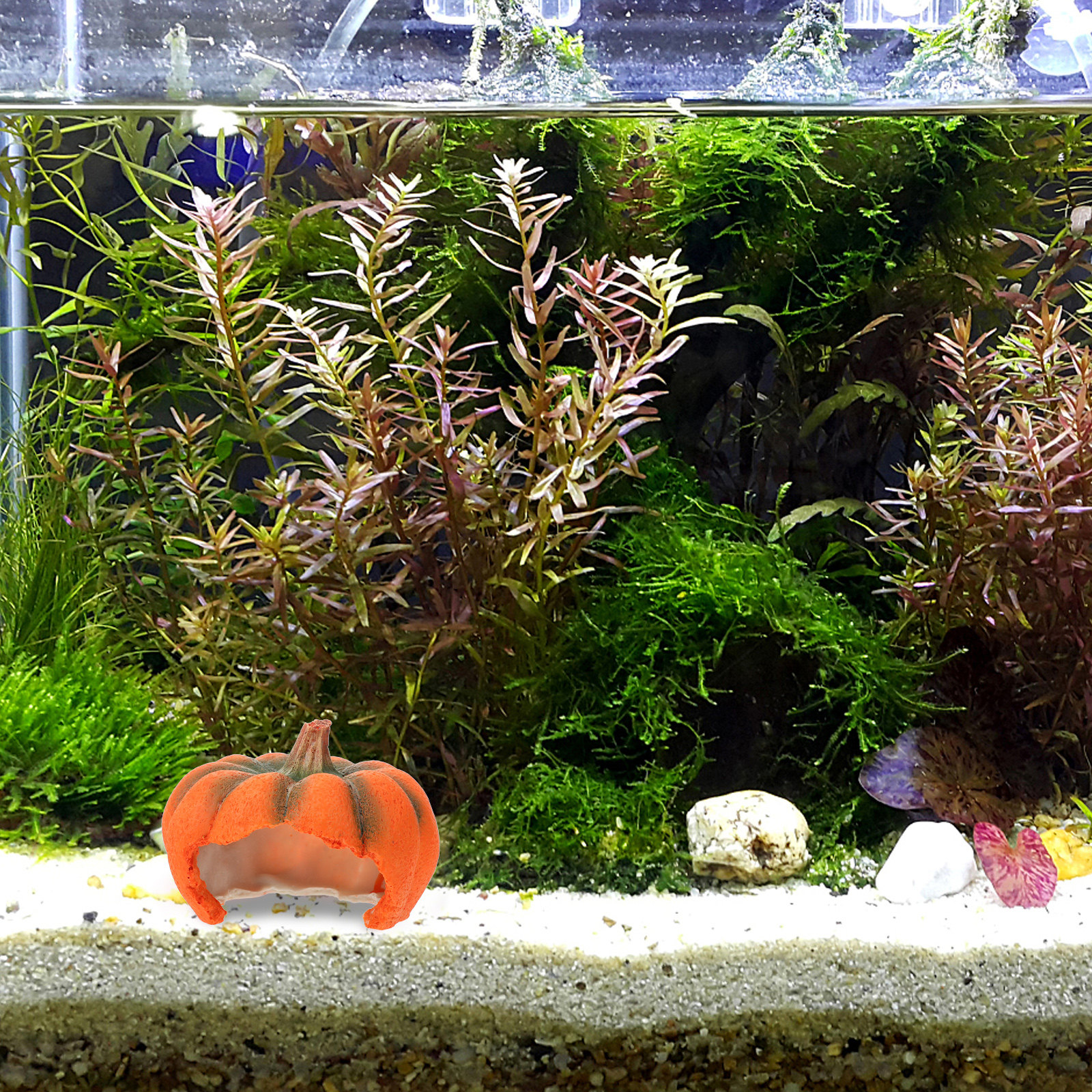 Żółta żywiczna dekoracja do ak – Aquarium Fish Yellow recenzja i cena