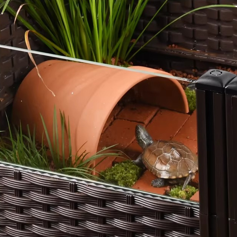 Ekologiczny terrarium dla żółw – Aquarium Fish Yellow recenzja i cena