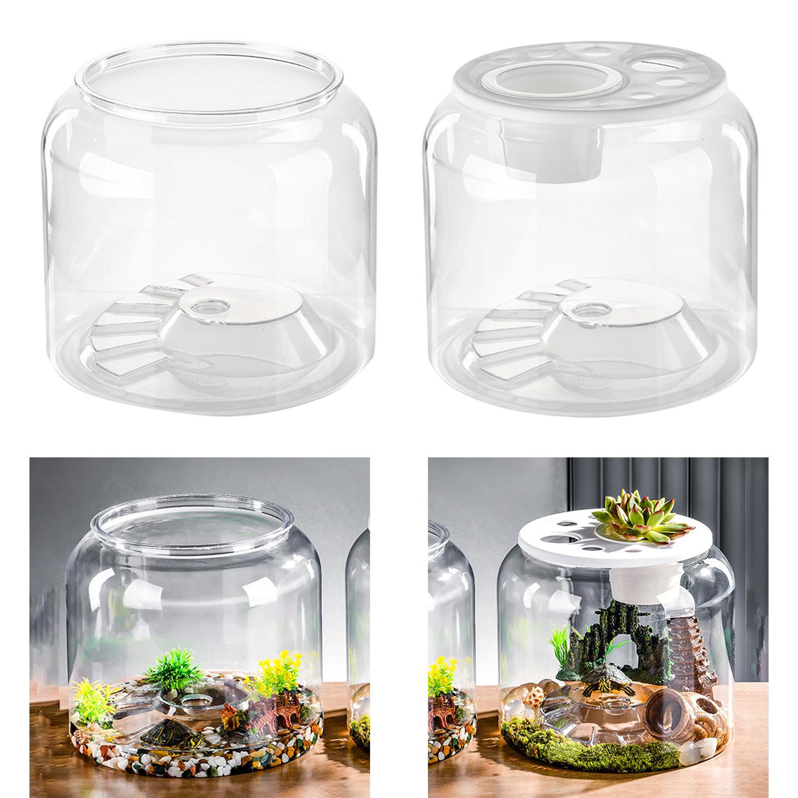 Kontener na żółwia o dużej poj – Aquarium Fish Drawing recenzja i cena
